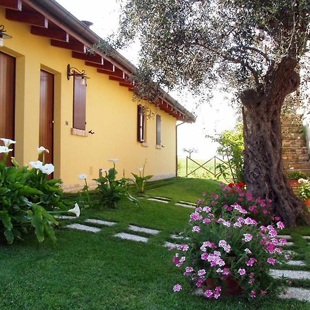 Agriturismo Tenuta Santa Maria Notaresco Ngoại thất bức ảnh