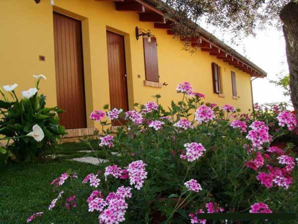 Agriturismo Tenuta Santa Maria Notaresco Ngoại thất bức ảnh