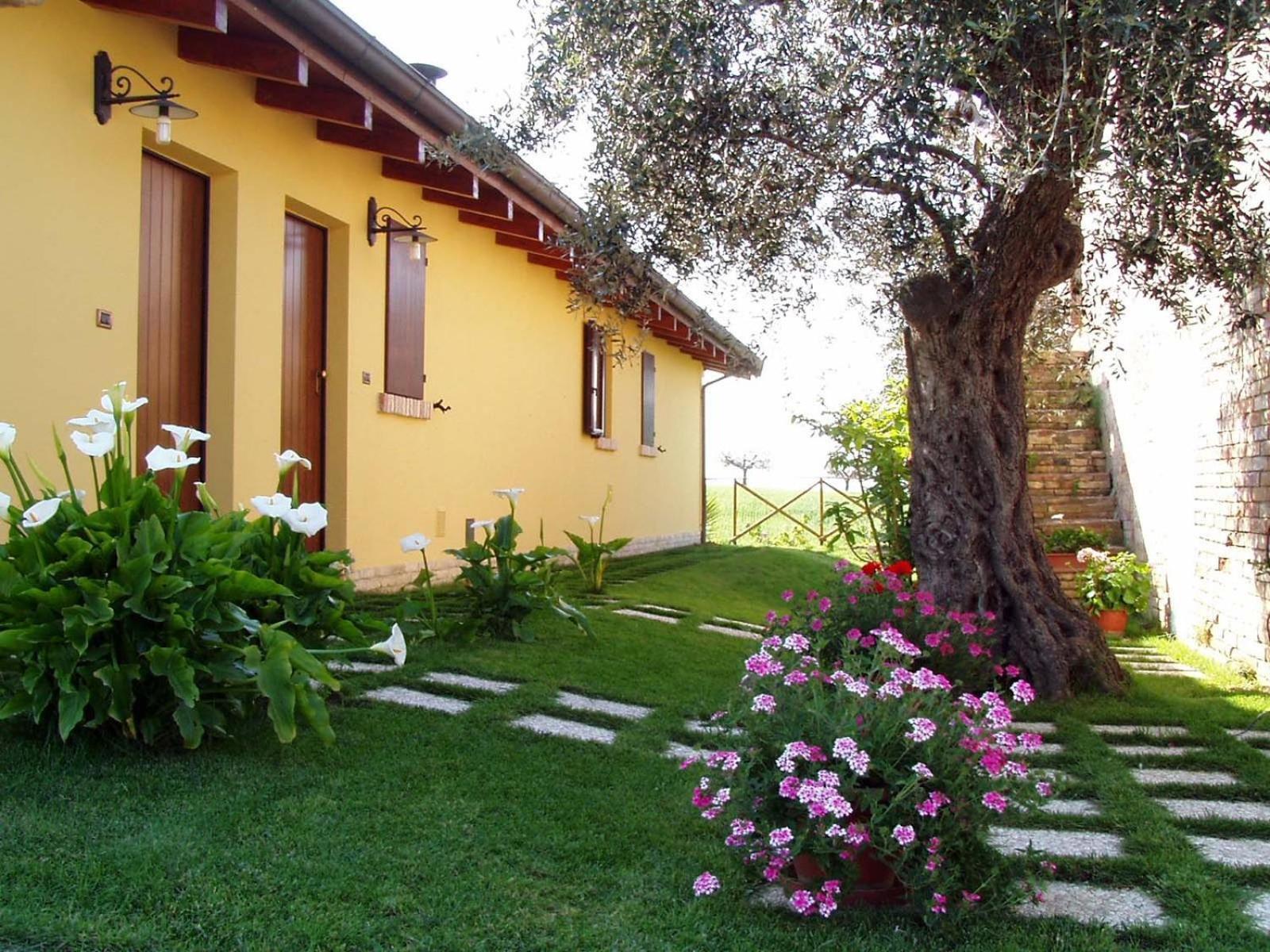 Agriturismo Tenuta Santa Maria Notaresco Ngoại thất bức ảnh
