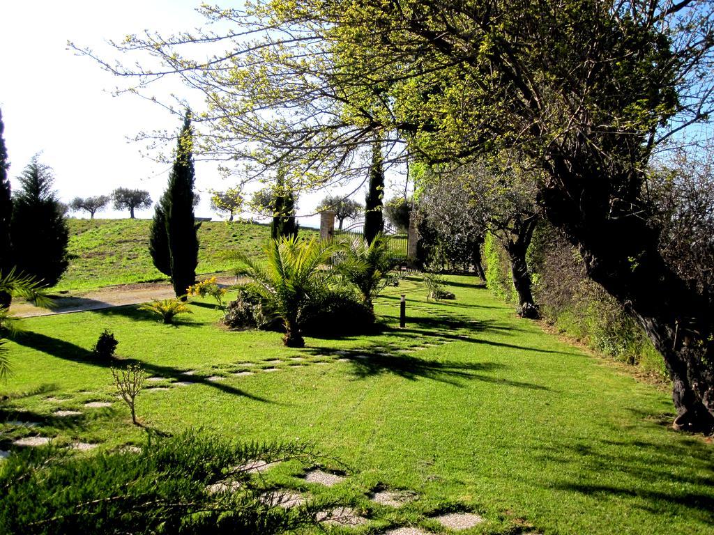 Agriturismo Tenuta Santa Maria Notaresco Ngoại thất bức ảnh
