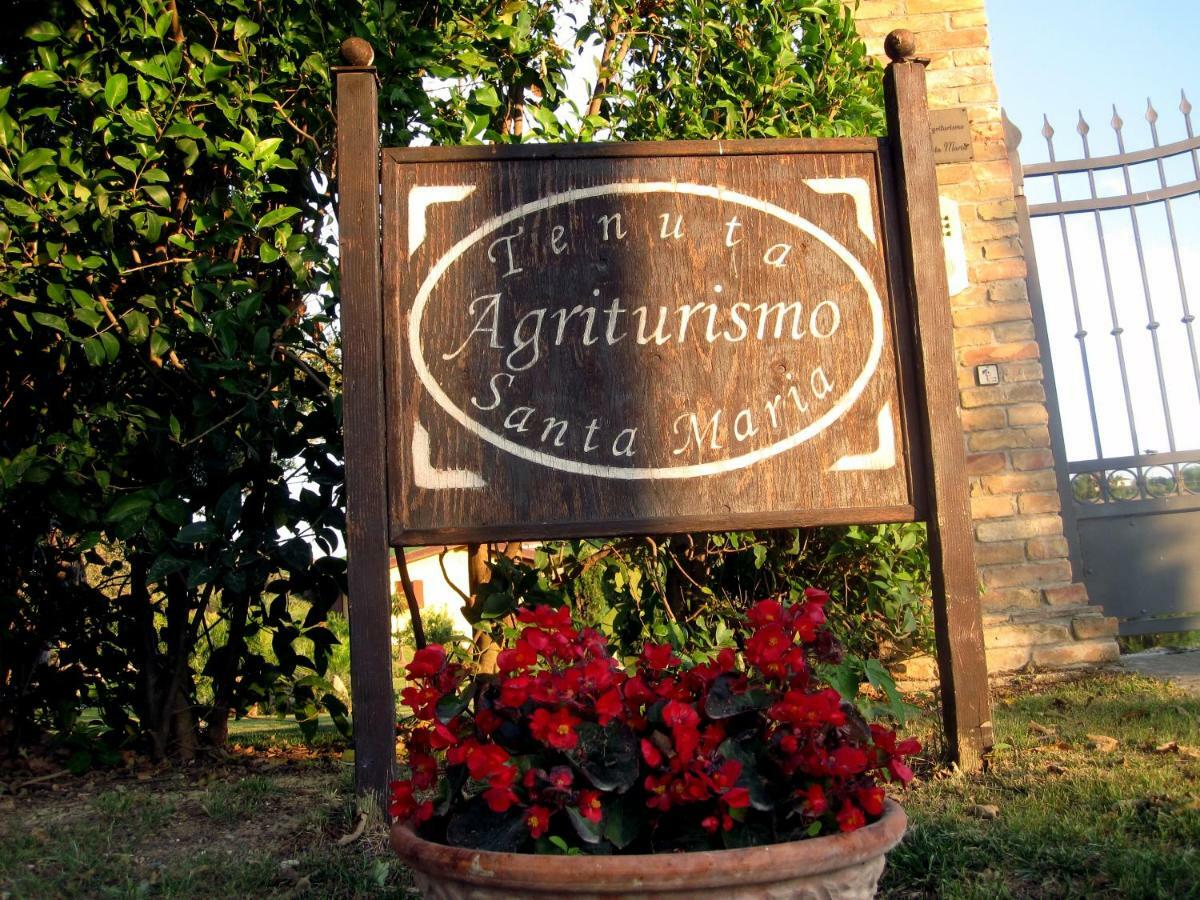 Agriturismo Tenuta Santa Maria Notaresco Ngoại thất bức ảnh