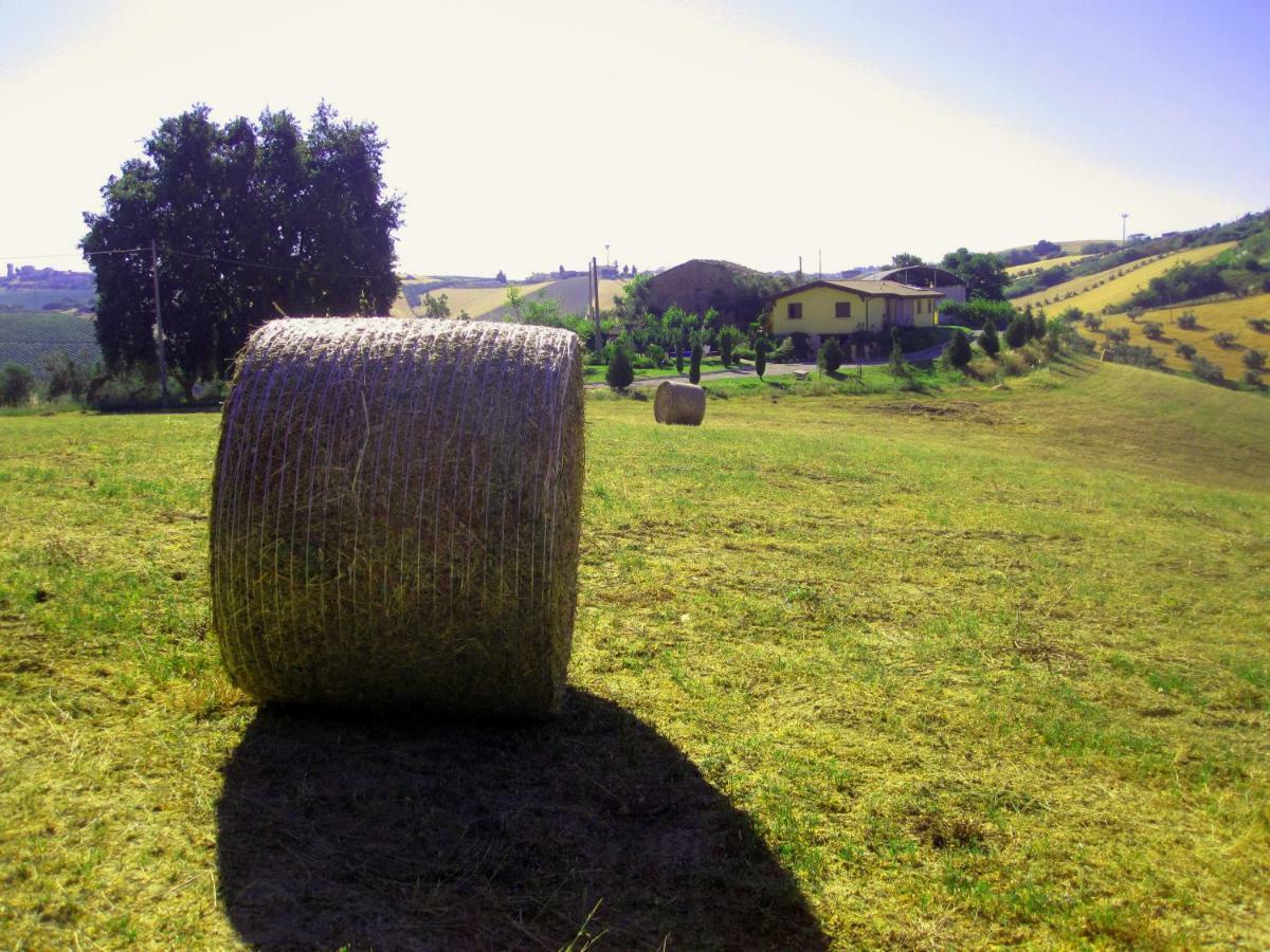 Agriturismo Tenuta Santa Maria Notaresco Ngoại thất bức ảnh